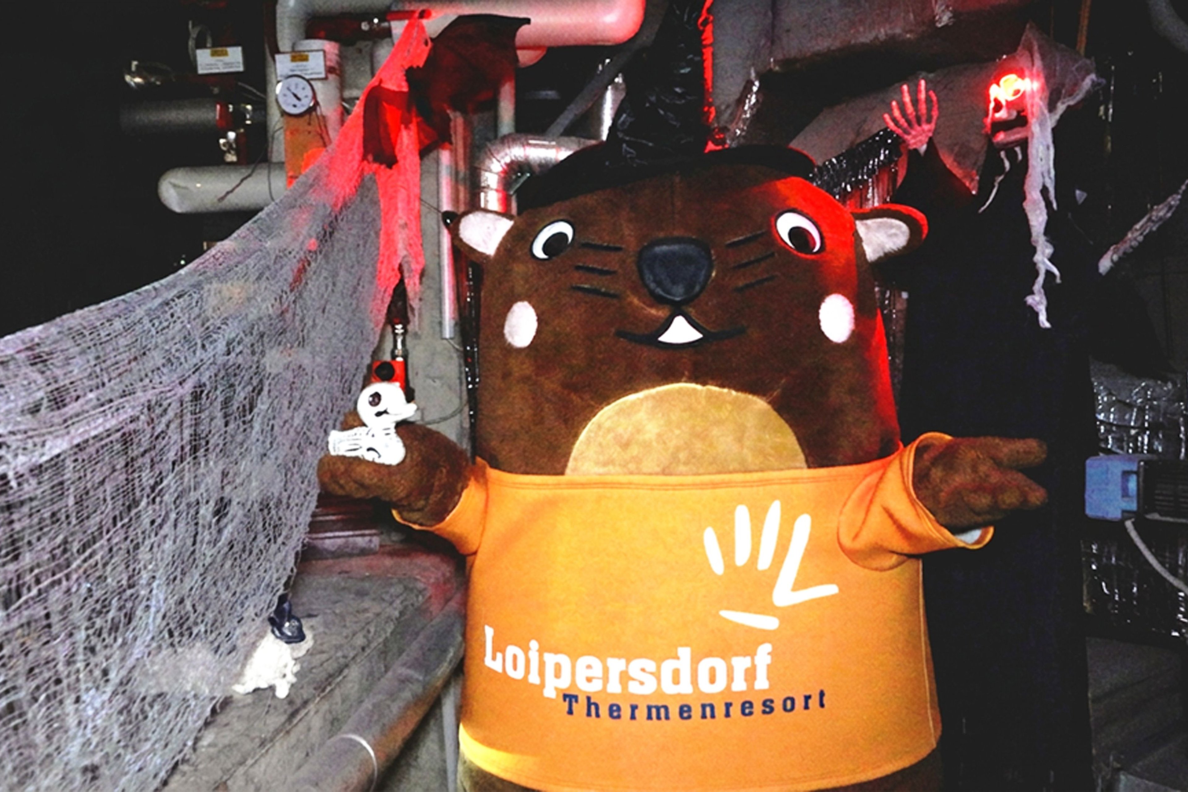 Großes Otter-Maskottchen mit orangefarbenem T-Shirt mit Aufschrift 'Loipersdorf Thermenresort' in einem Raum mit Halloween-Dekorationen wie Spinnennetz und Skelett.