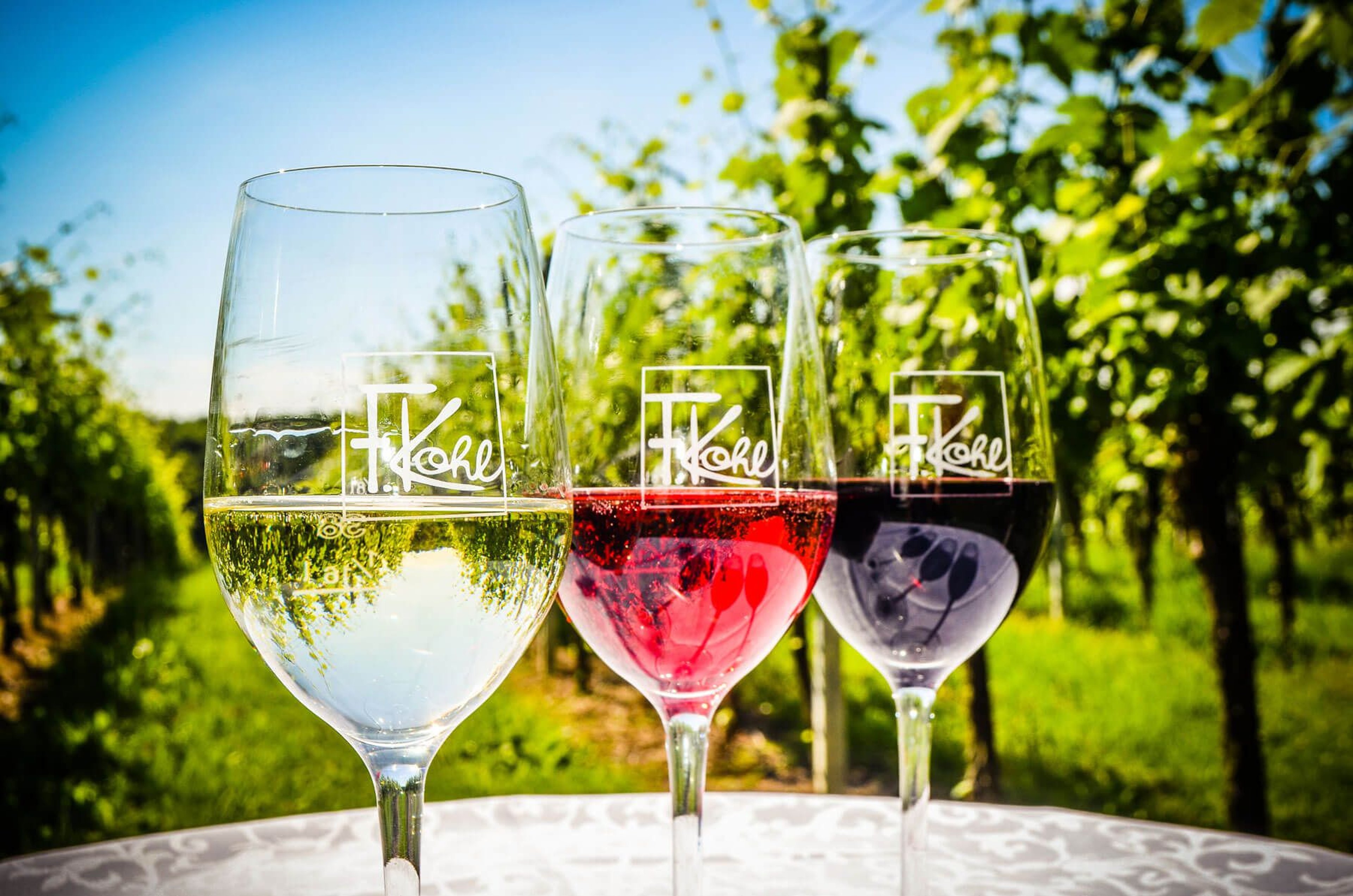 Befüllte Weingläser im Weingarten der Weinhofs und Feierguts Kohl.