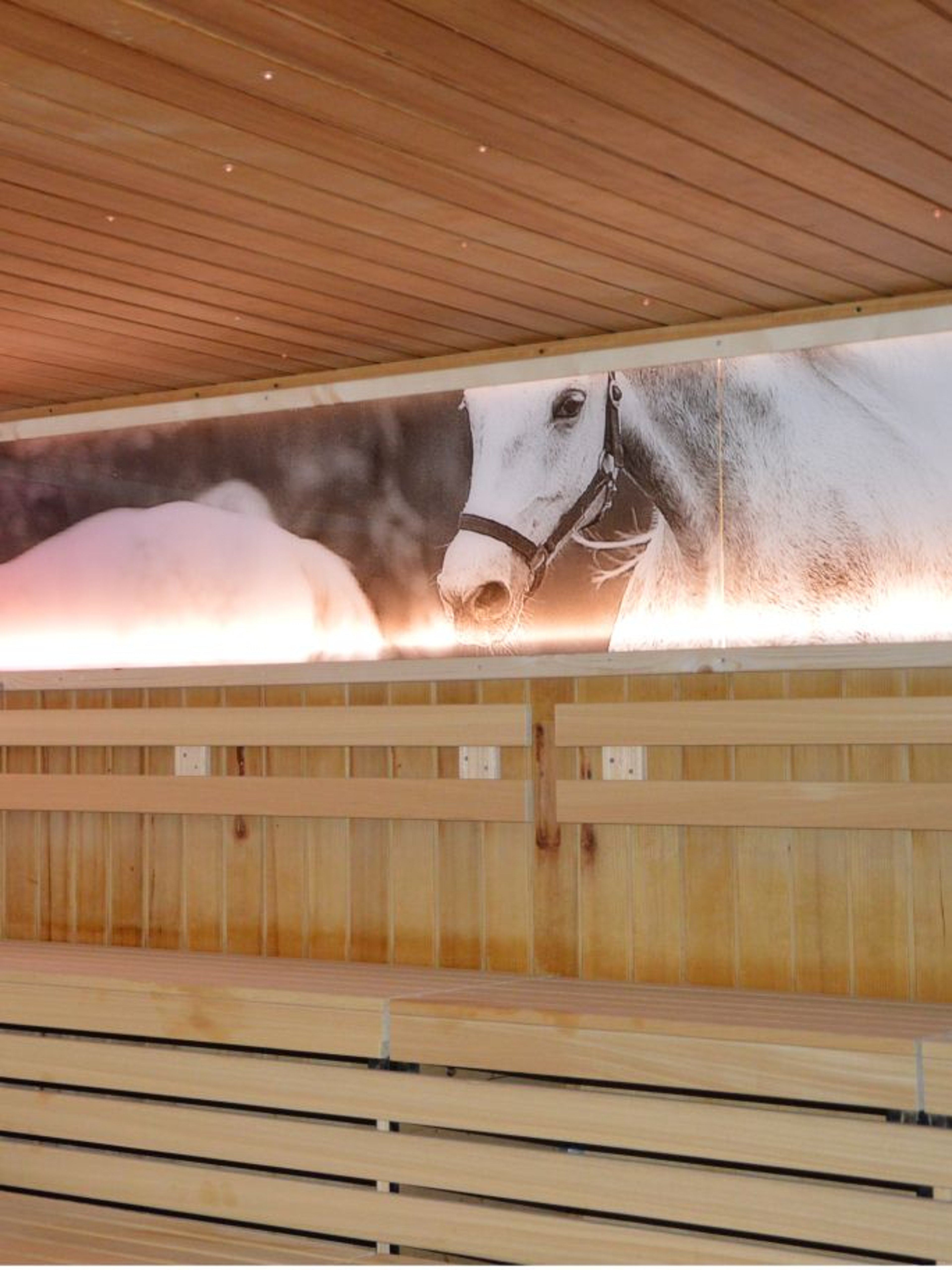 The walls of the Lippizzaner sauna are decorated with pictures of horses.