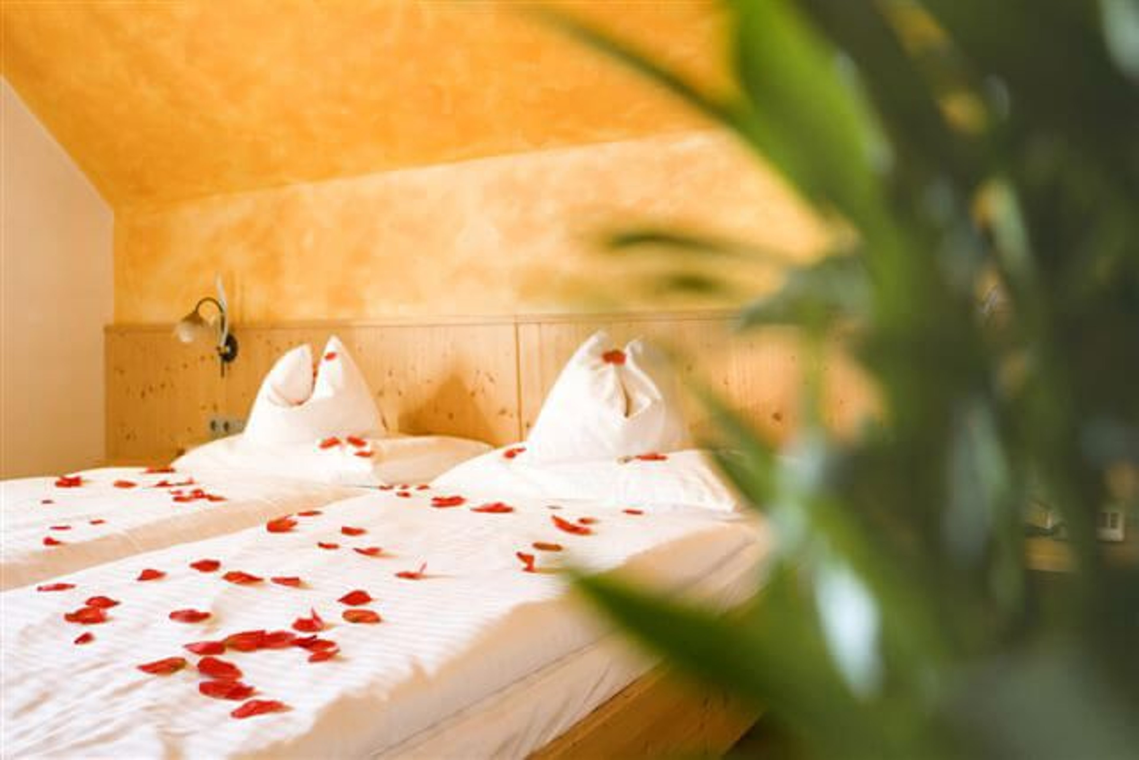 Ein Doppelzimmer mit Rosenblätter bestückt.