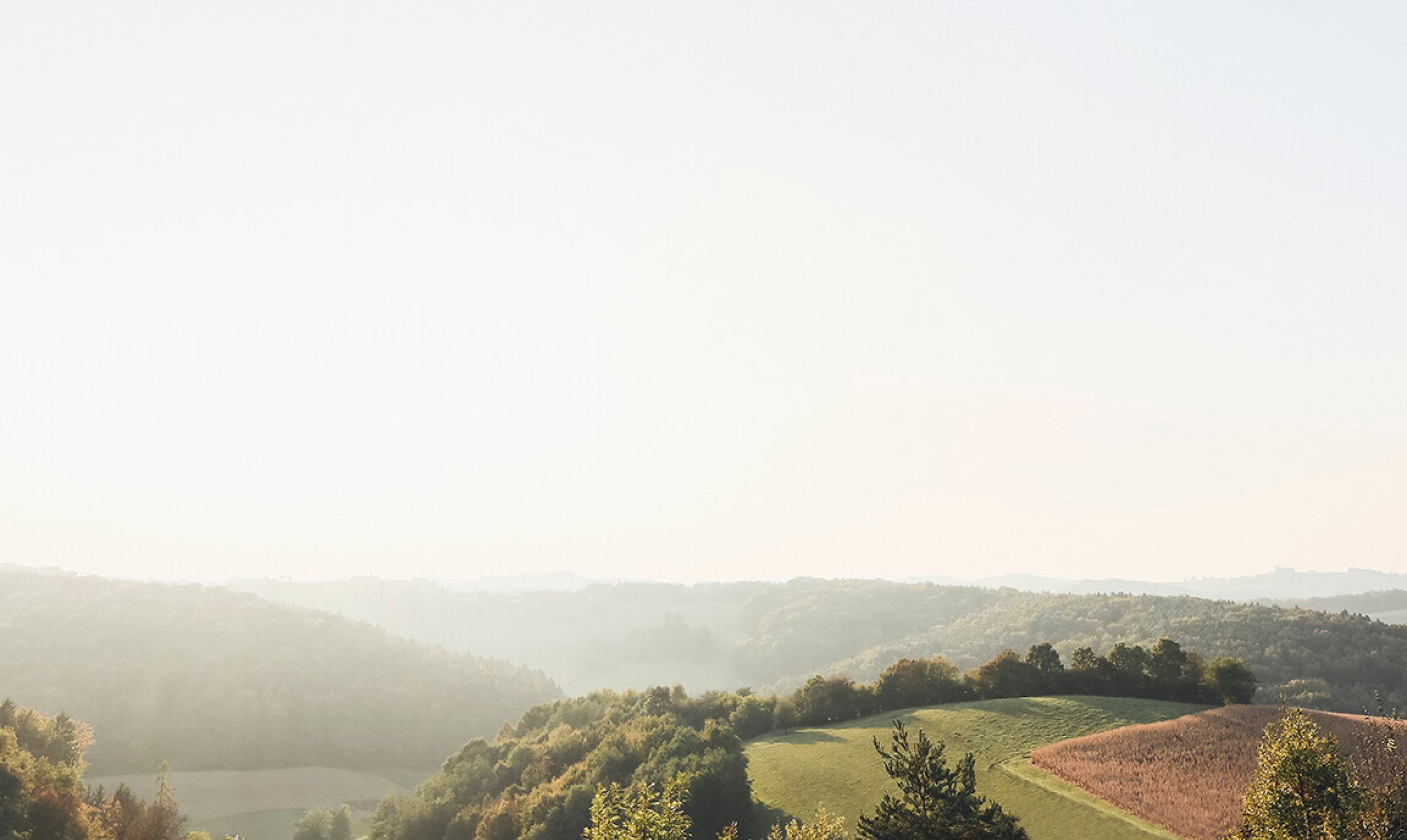 Ein Ausblick auf das Thermen- und Vulkanland der Steiermark.