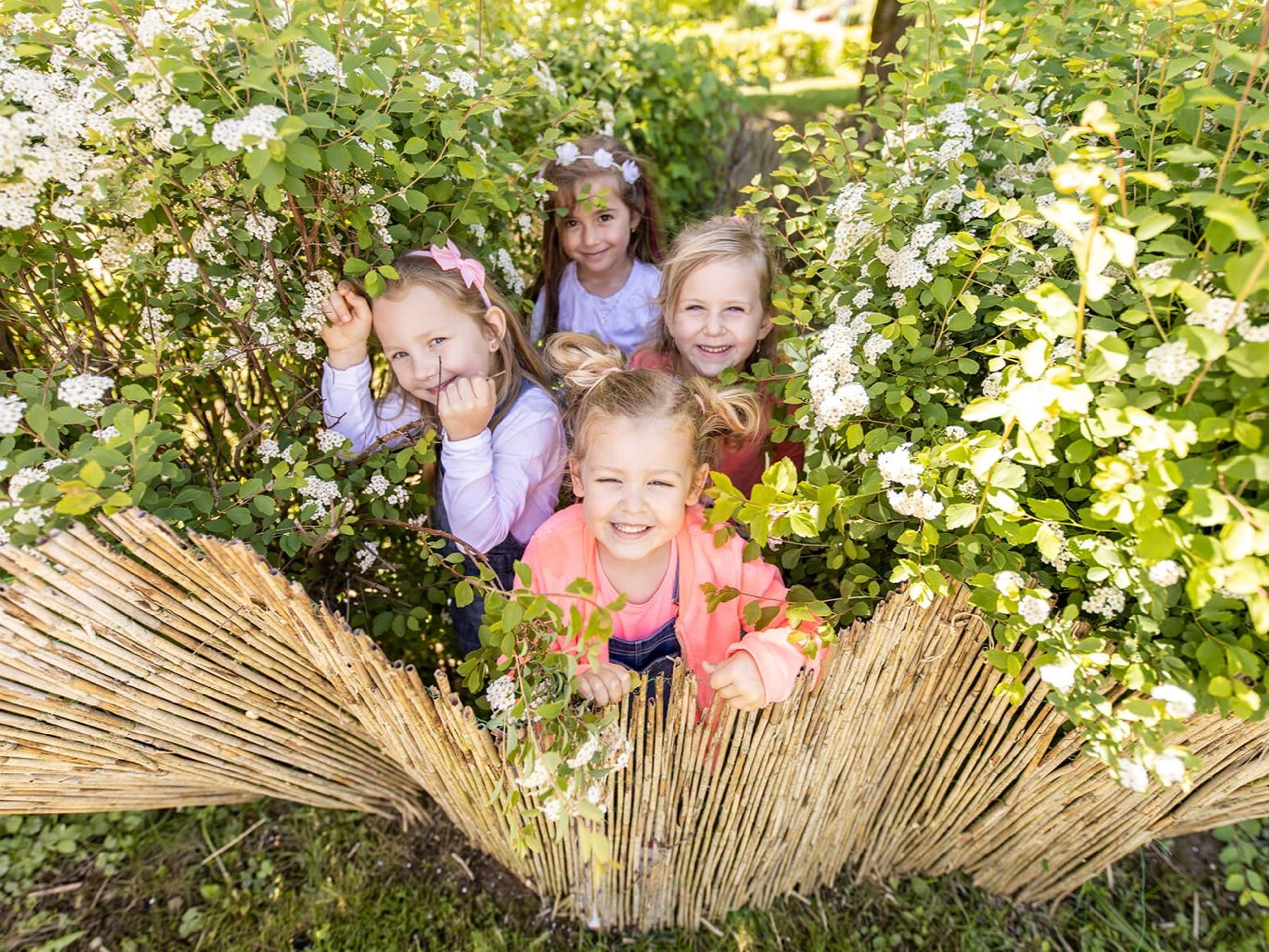 The children from the tourist kindergarten hide in the bush.