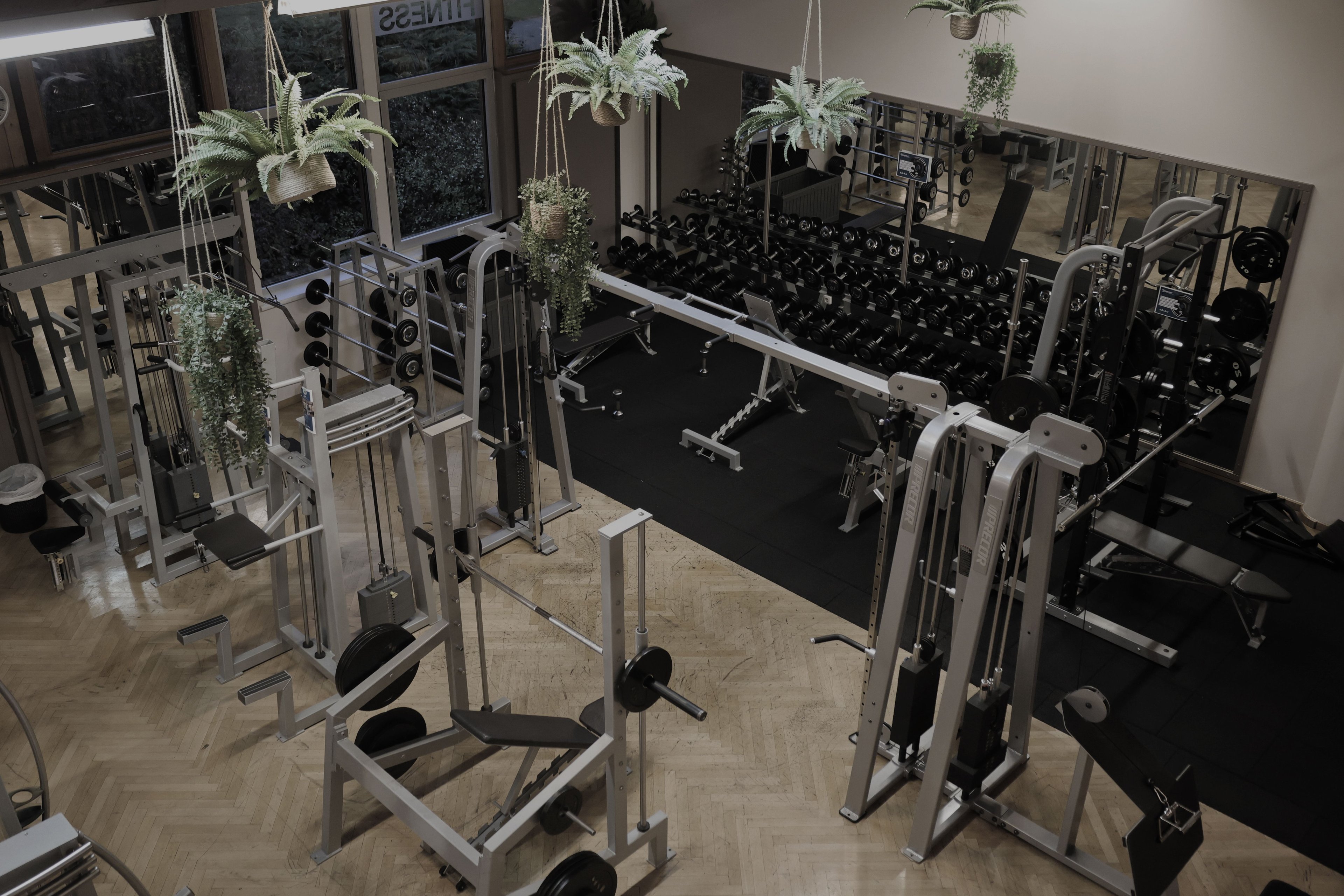 Interior of a gym with weight machines, dumbbells, and several hanging plants from the ceiling