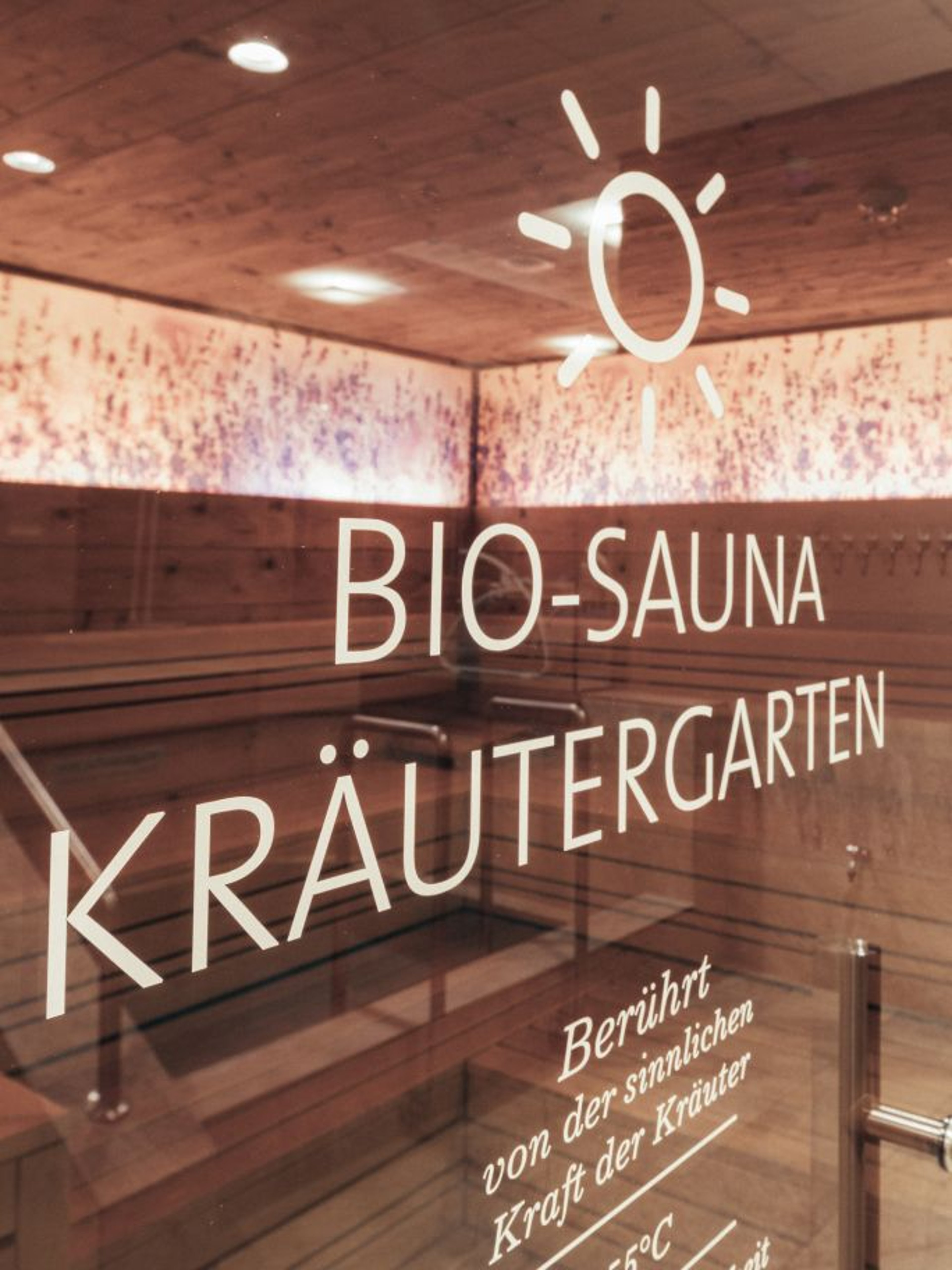 A view through the glass door into the organic sauna herb garden.