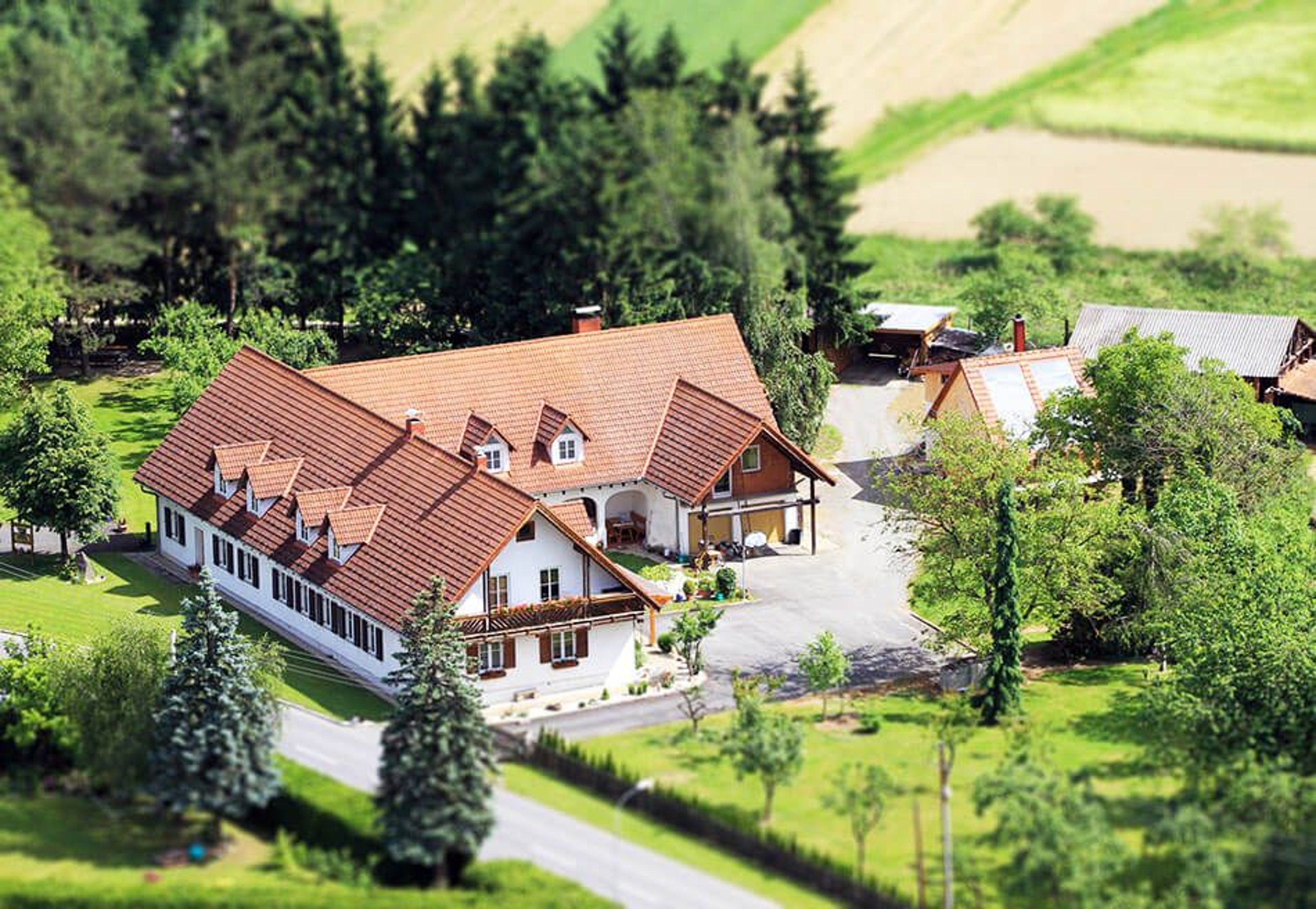 A picture of the Hirschl guesthouse from afar.