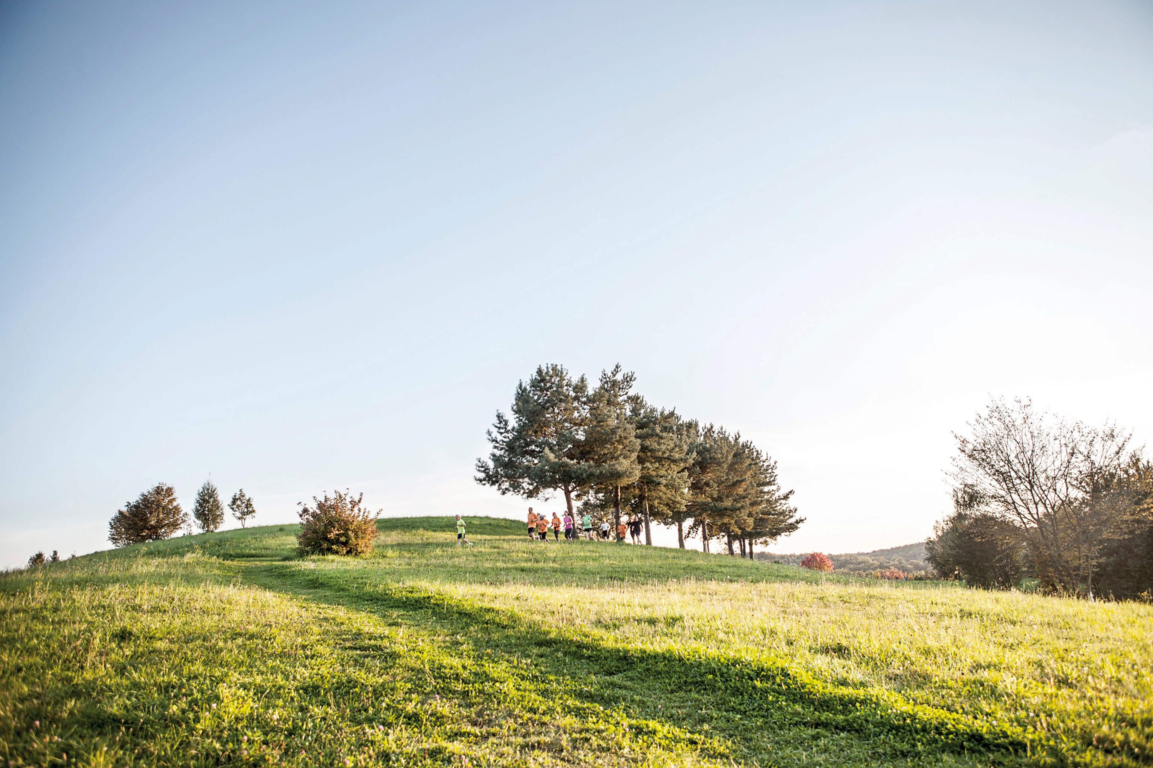Läufer des Lauftreffs laufen in der Region. 