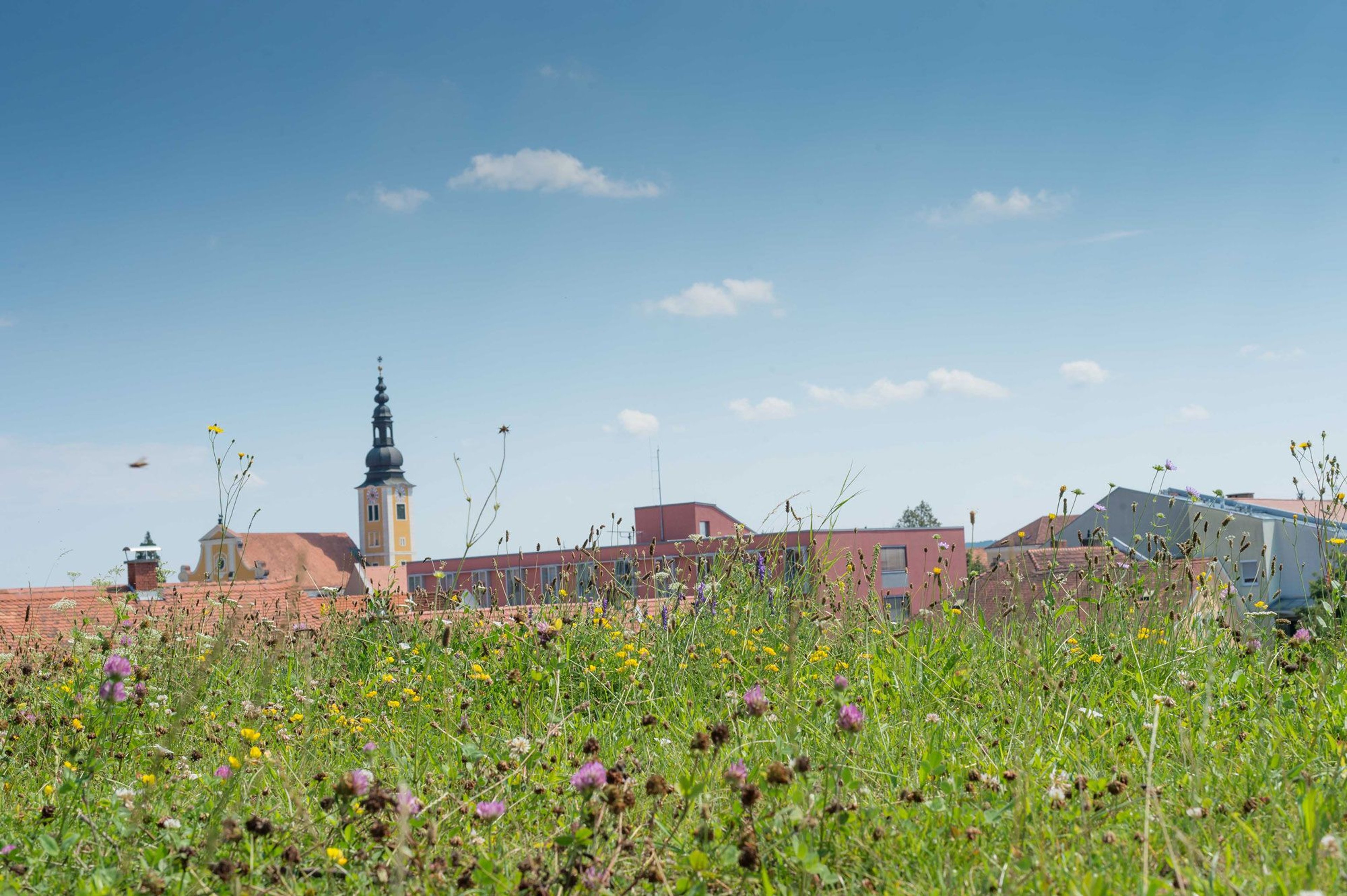 Nature around the thermal spa capital of Fürstenfeld.