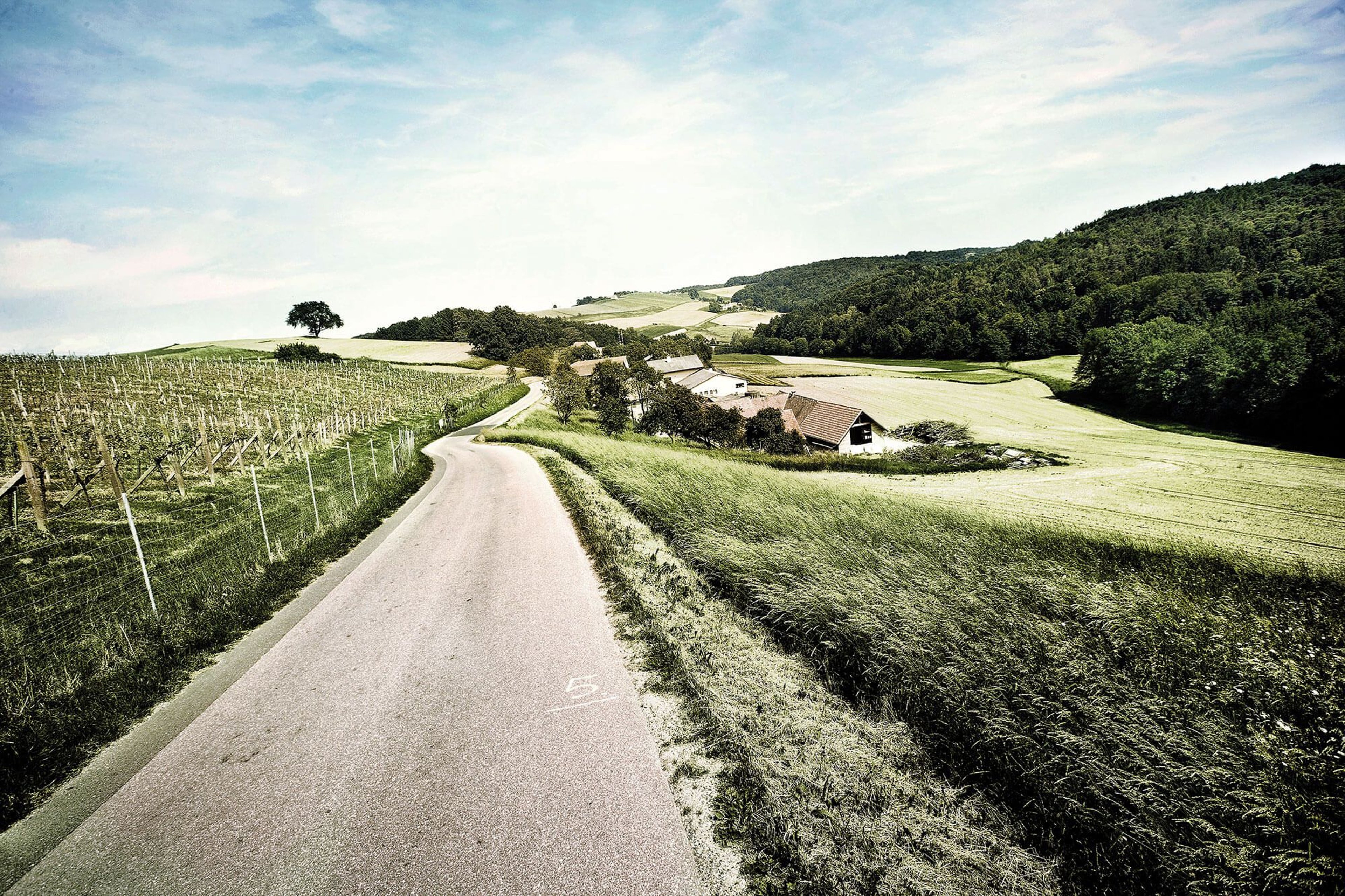 The region with many running routes around the Loipersdorf thermal spa resort.