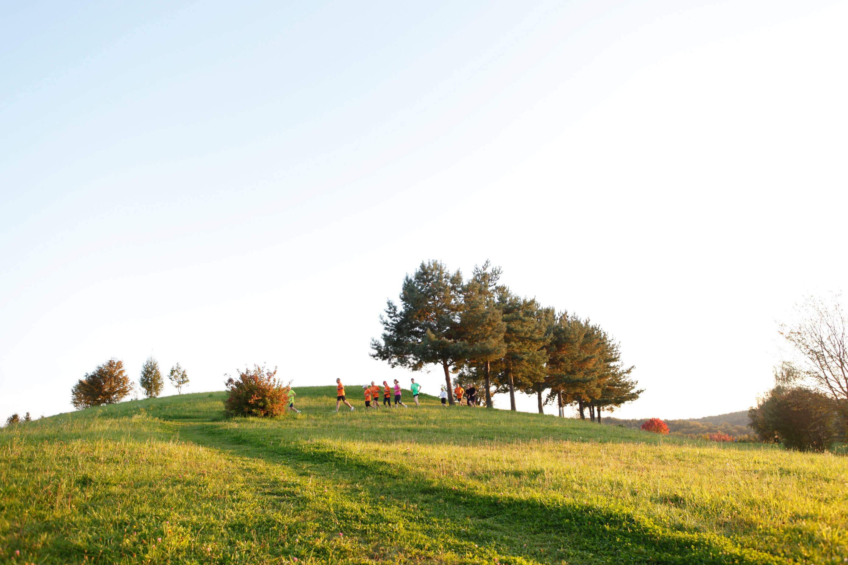 Eine Gruppe joggt am Krafthügel in der Abendsonne.