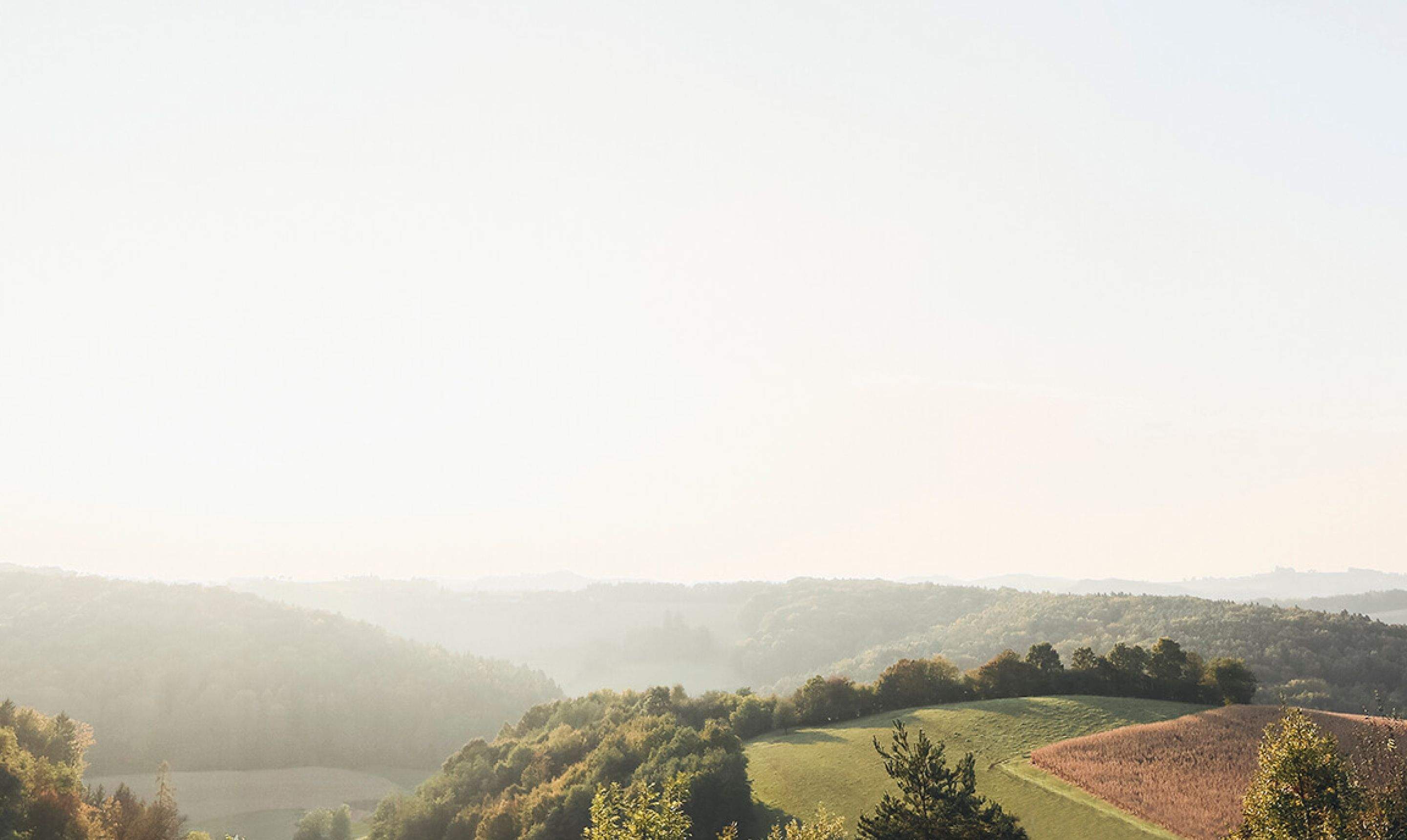 Ein Ausblick auf das Thermen- und Vulkanland der Steiermark.