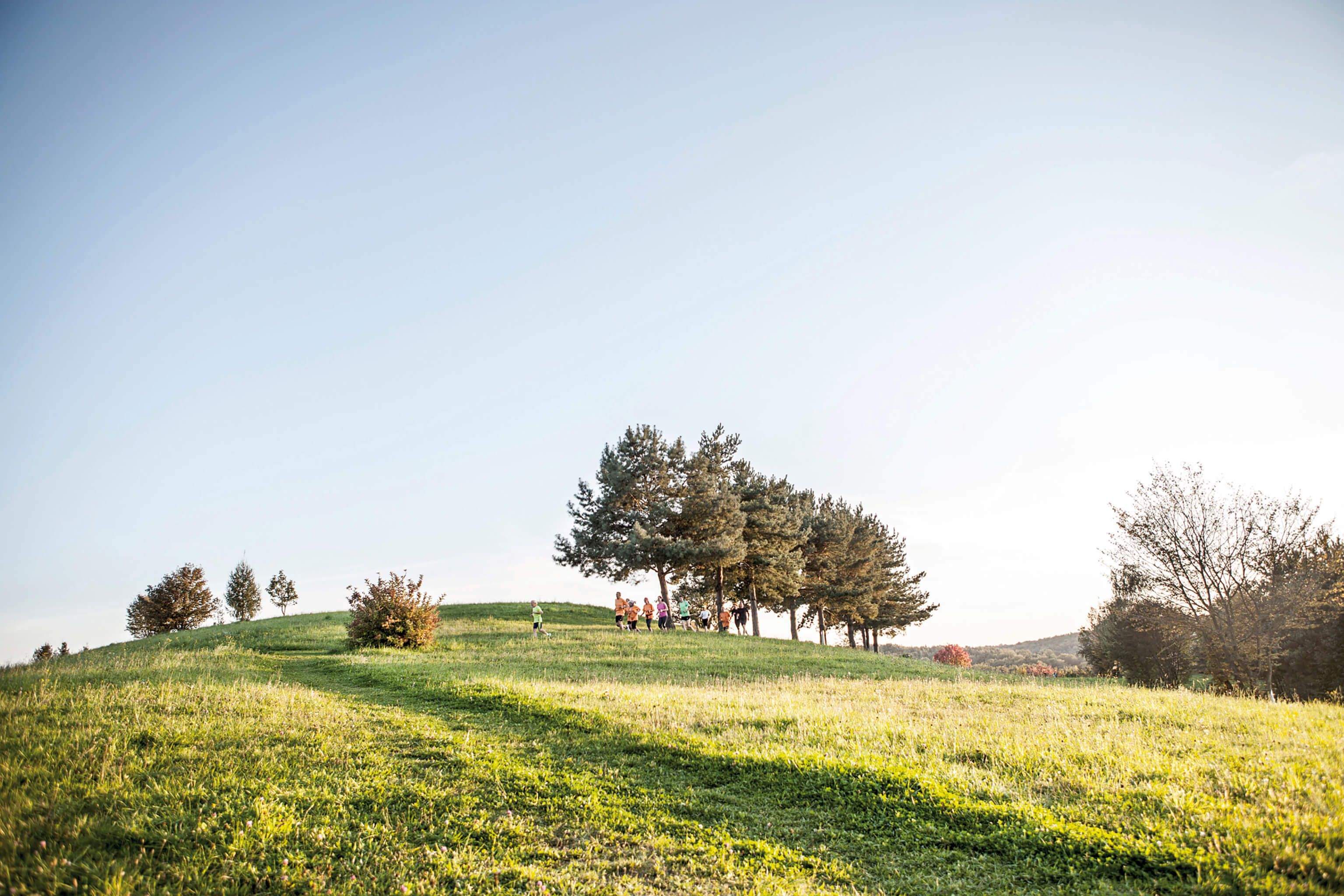 Läufer des Lauftreffs laufen in der Region. 