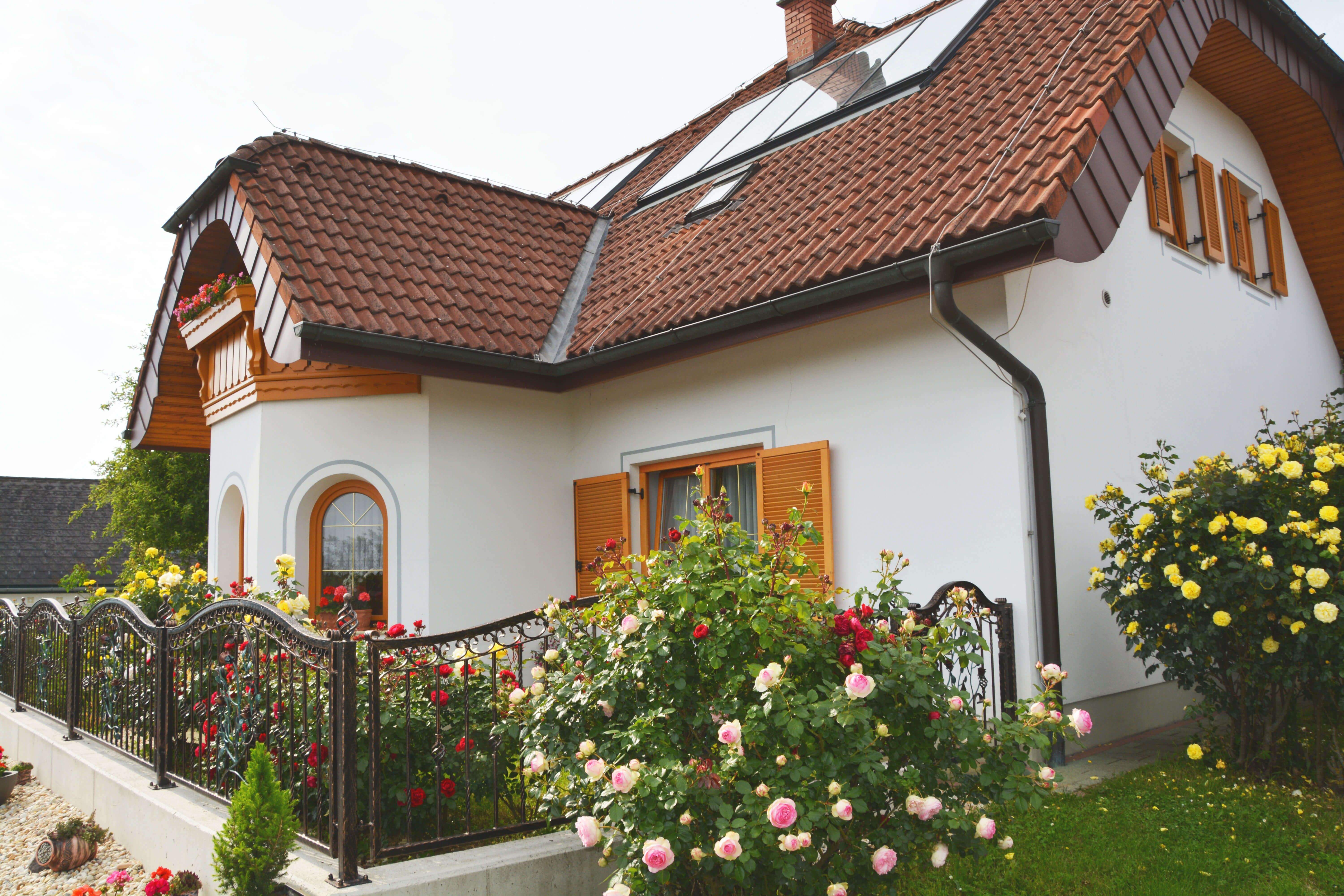 The guesthouse from the outside with roses in front of it.